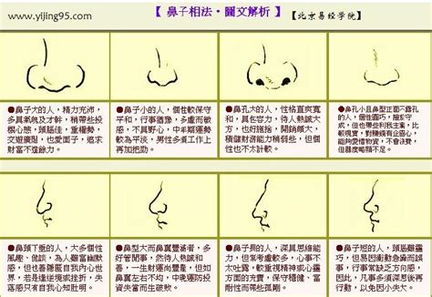 鼻子面相图解|鼻子面相算命图解 鼻相图解大全 